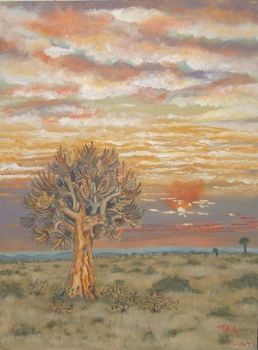 "Kalahari Sunset"