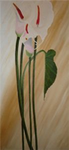 "Marsh Mellow Arum Lily"