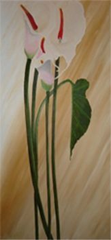 "Marsh Mellow Arum Lily"