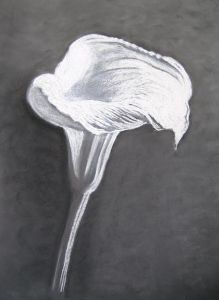 "Lily"