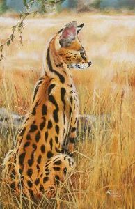 "Alert Serval Cat"