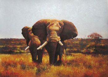 "Nwanedzi bulls"