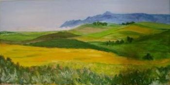 "Canola Fields"