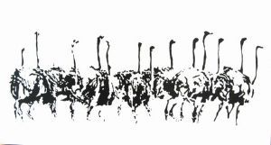 "Ostriches 2"