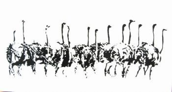 "Ostriches 2"