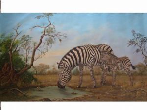 "Drinking Zebra and baby"