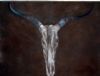 "Antelope Skull"