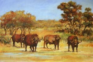 "Buffalo"