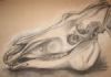 "Skull"