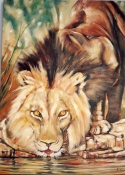 "Lion at Waterhole"