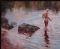 Bather in the Lake
