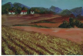 "Kalahari Vineyard"