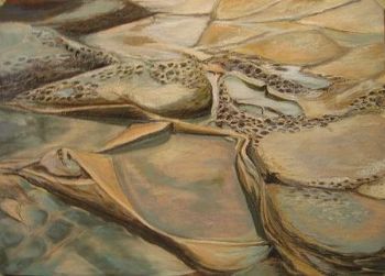 "Shallow pools"
