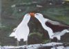 "Albatrosses courting"