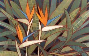 "Strelitzia"