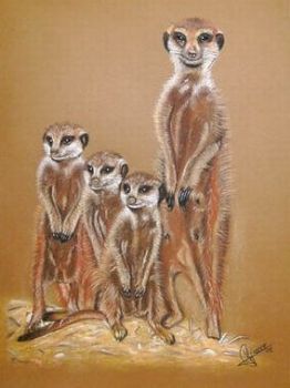 "Meerkats"