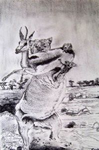 "Springbok Caught"