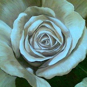 "Rose 24"