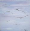 "Seagulls"