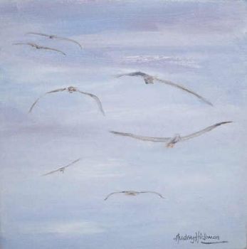 "Seagulls"