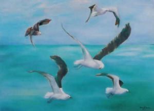 "seagulls 2"
