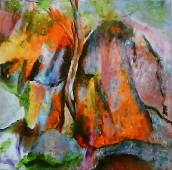 "Lichen Crevasse"