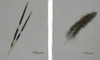 "Feather 2 and Quills 2"