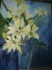 "Yellow Flowers"
