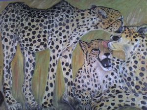 "Cheetah"