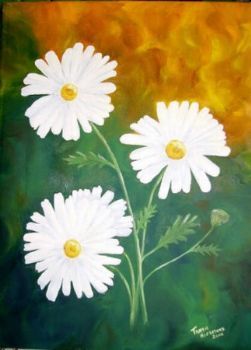 "Three Daisies RESERVED"