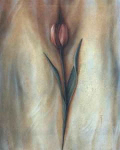 "Tulip"