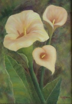 "Arum Lilies"