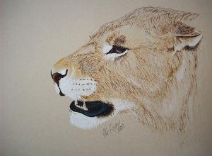 "Lioness 1"
