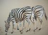 "Grazing Zebras"