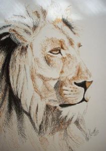 "Lion 1"