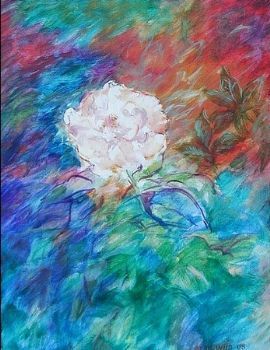 "Rose one"