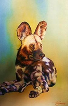 "Wild Dog Study"