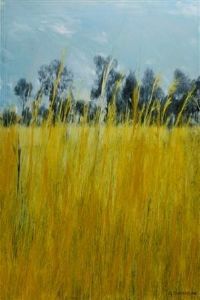"Kalahari Grass"