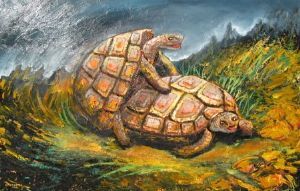 "Shagging Tortoise"