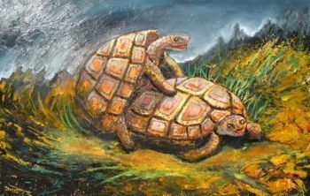 "Shagging Tortoise"