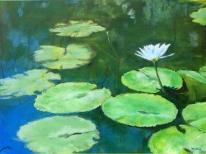 "Waterlily"