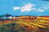 "Cape Vineyards"