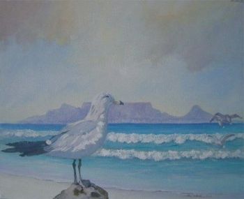 "Table Mountain Seagull Cape Town"