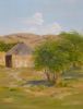 "Tsolwana Game Reserve"