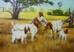 "Tranquil Goats"