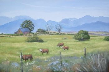 "Fields of Gold"