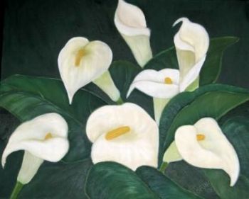 "Arum Lilies"
