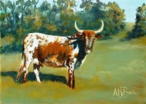 "Nguni Cow"
