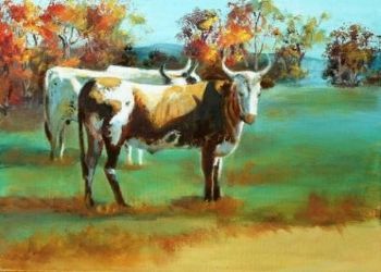 "Nguni Cows"