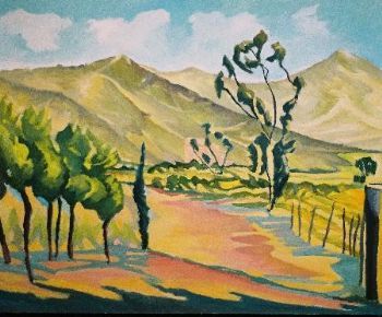 "Summer in Barrydale"
